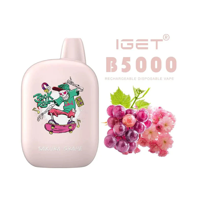 IGET B 5000 Puffs Vape - VAPE HOUSE