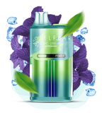 ELFBAR BC 20,000 Puffs Vape - VAPE HOUSE