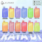 ELF BAR Raya D1 13000 Puffs - VAPE HOUSE