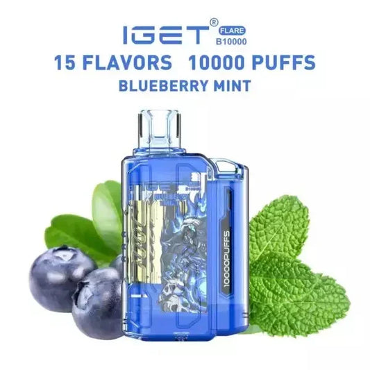 Iget Flare B 10,000 Puffs - VAPE HOUSE