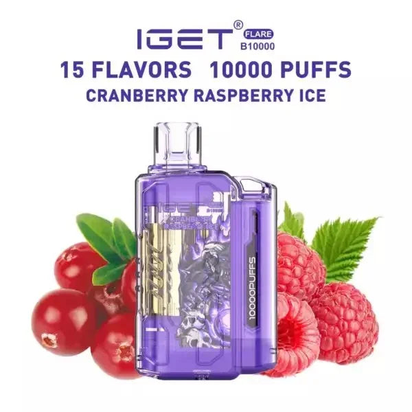 Iget Flare B 10,000 Puffs - VAPE HOUSE