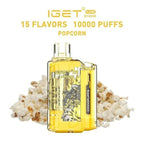 Iget Flare B 10,000 Puffs - VAPE HOUSE